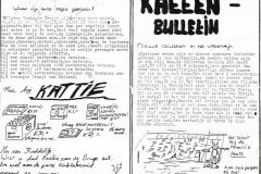kattenbulletin1