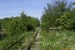 RIMG0655