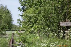 RIMG0657