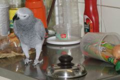 SONY DSC