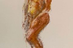 modelzitten-5