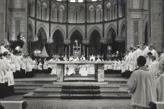 Priesterwijding-Bavo-7