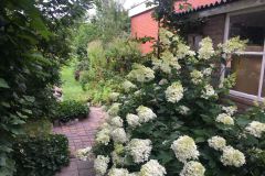 Foto-06-08-2021-09-32-50