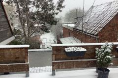 Foto-31-03-2022-17-39-42